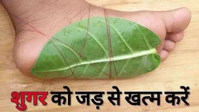 शुगर के इलाज के लिए घरेलू उपाय: आक के पत्ते का उपयोग