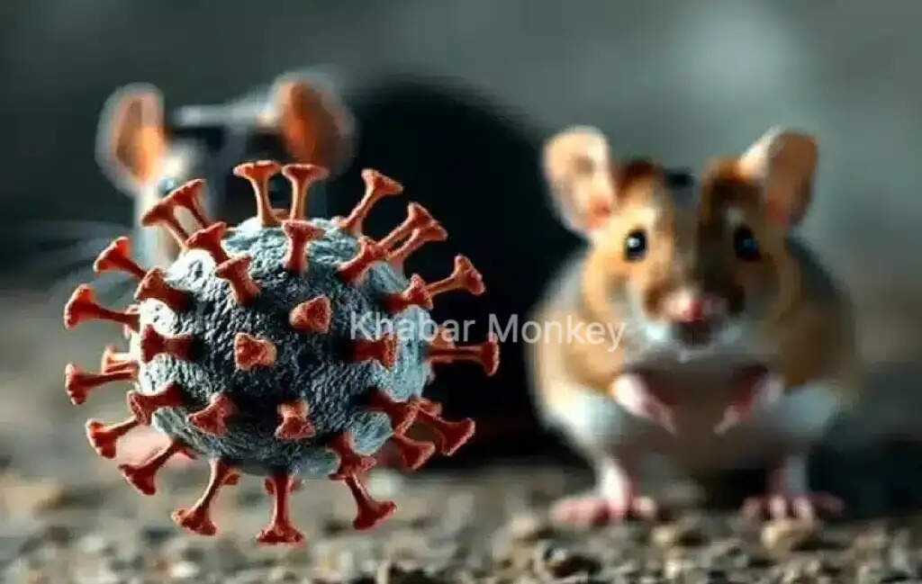 Hantavirus: नया खतरनाक वायरस, कोविड-19 से भी अधिक गंभीर