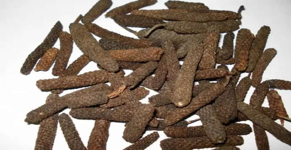 पिप्पली: कैंसर के उपचार में सहायक भारतीय मसाला