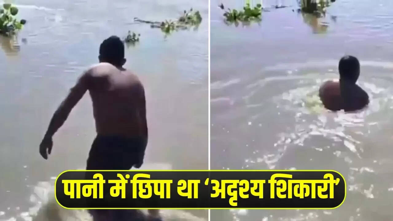 मगरमच्छ के हमले का खौफनाक वीडियो हुआ वायरल