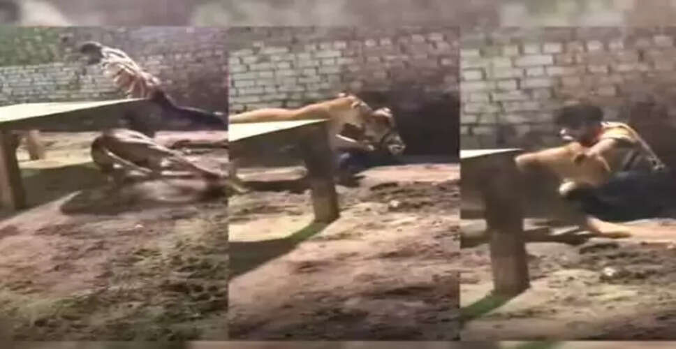 शेरनी के बाड़े में गलती से पहुंचे युवक का खौफनाक अनुभव