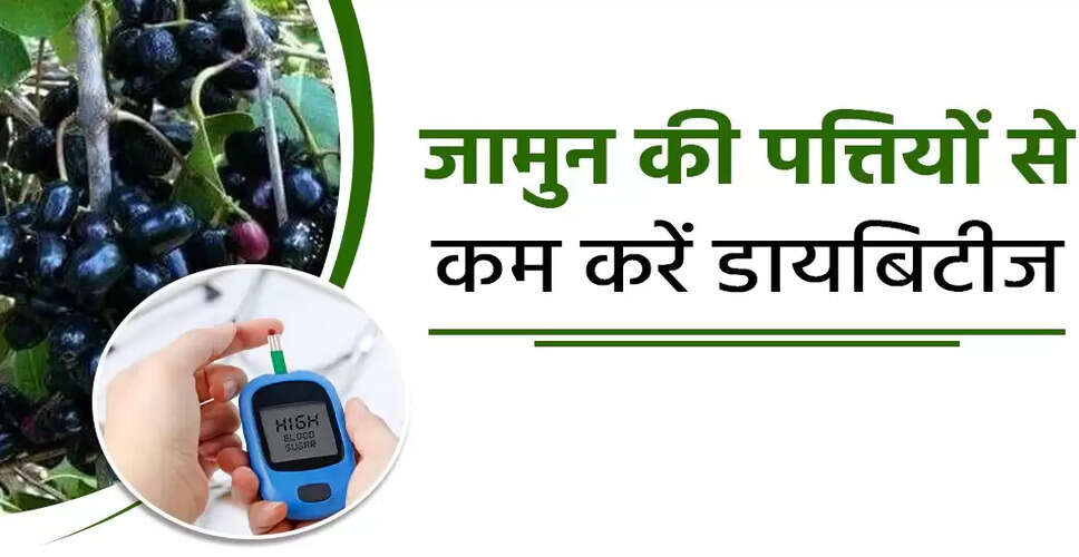 जामुन की गुठली: क्या यह डायबिटीज को नियंत्रित करने में सहायक है?
