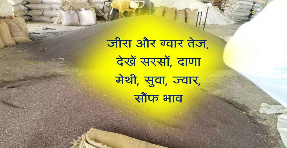 नागौर मंडी में फसलों के भाव: मूंग, जीरा और सरसों की स्थिति