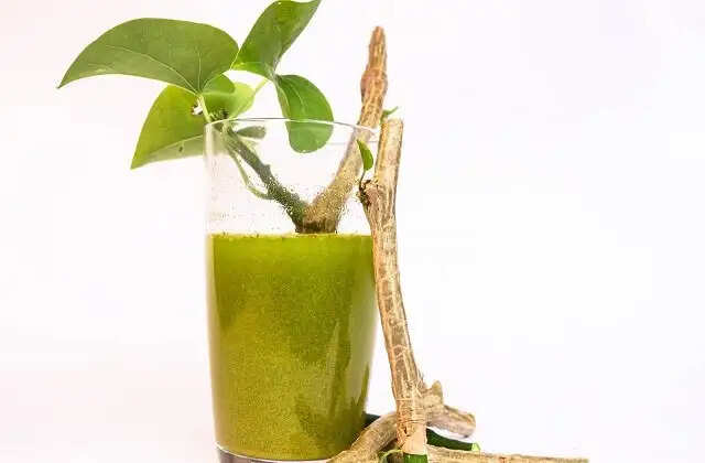 गिलोय: इम्युनिटी बढ़ाने और स्वास्थ्य लाभ के लिए एक अद्भुत जड़ी-बूटी