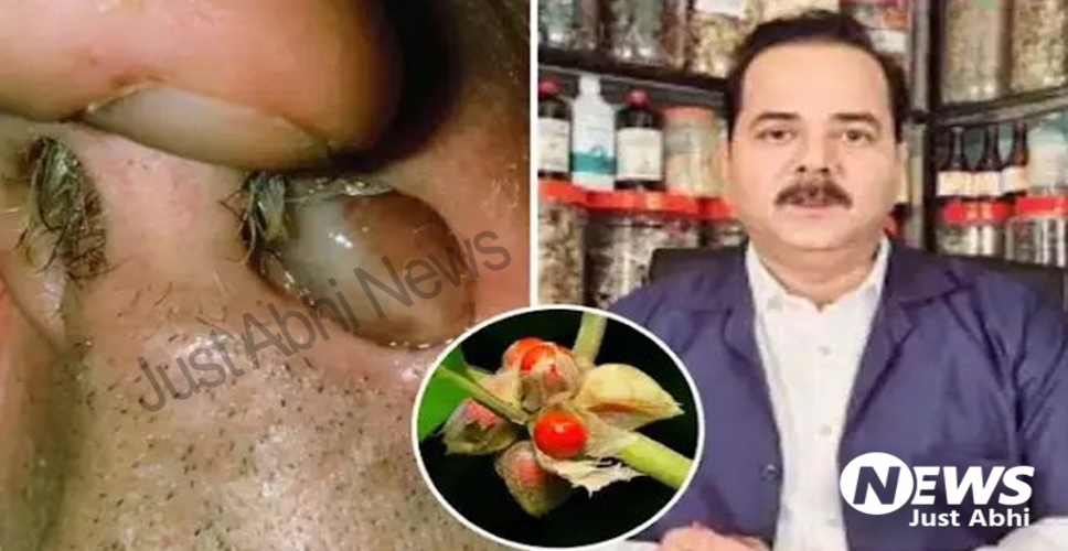 नाक के मांस और हड्डी के बढ़ने के लक्षण और घरेलू उपचार