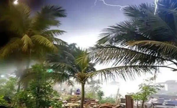 यूपी में मौसम ने मचाई तबाही, 12 लोगों की जान गई