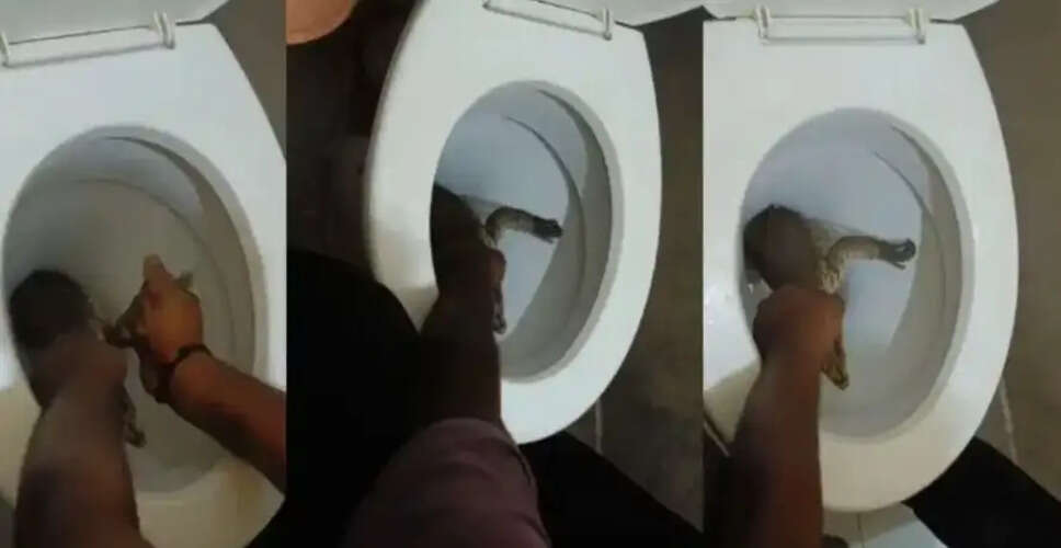 विशाखापत्तनम में बाथरूम से निकला विषखोपड़ा, परिवार में मची अफरा-तफरी