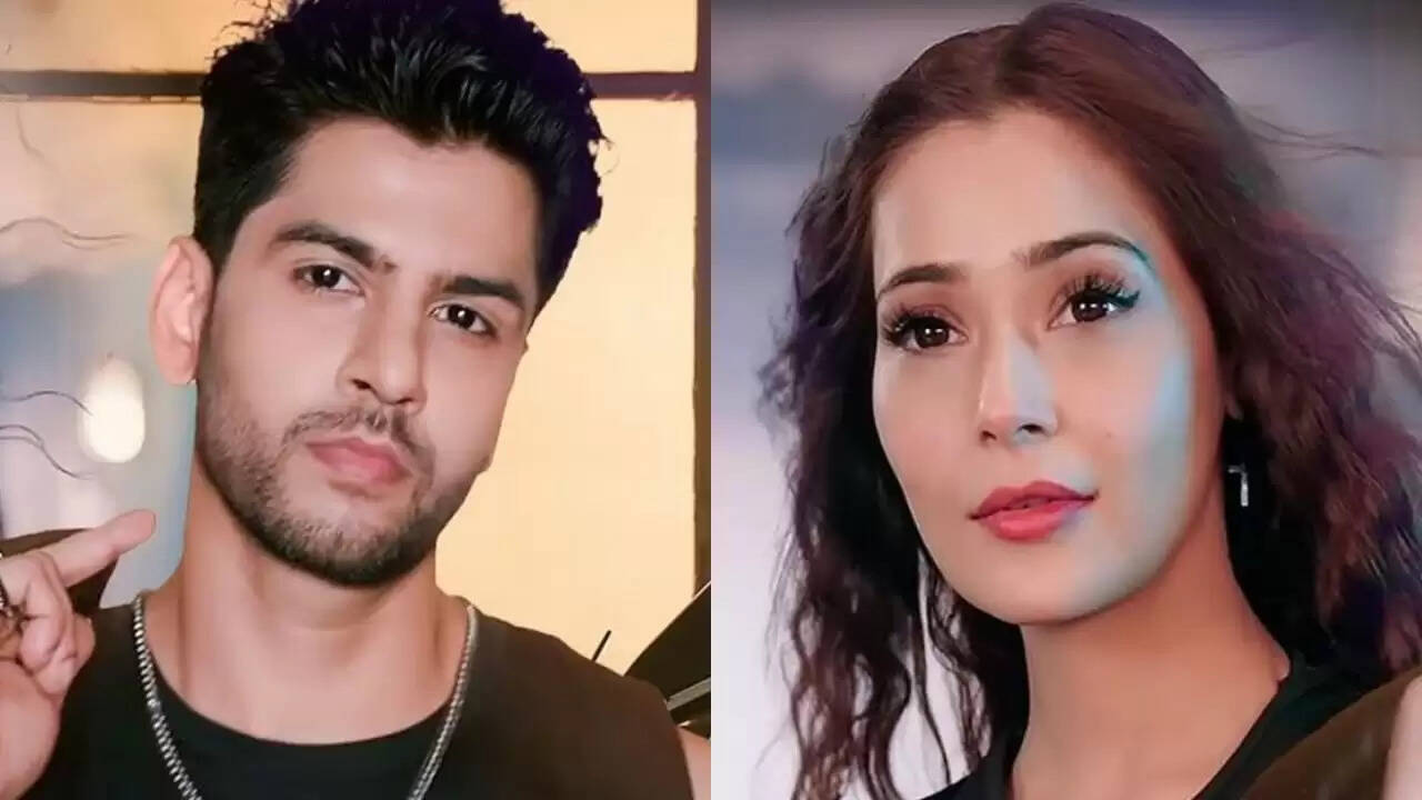 सारा खान ने कृष पाठक से की दूसरी शादी, प्यार की नई शुरुआत