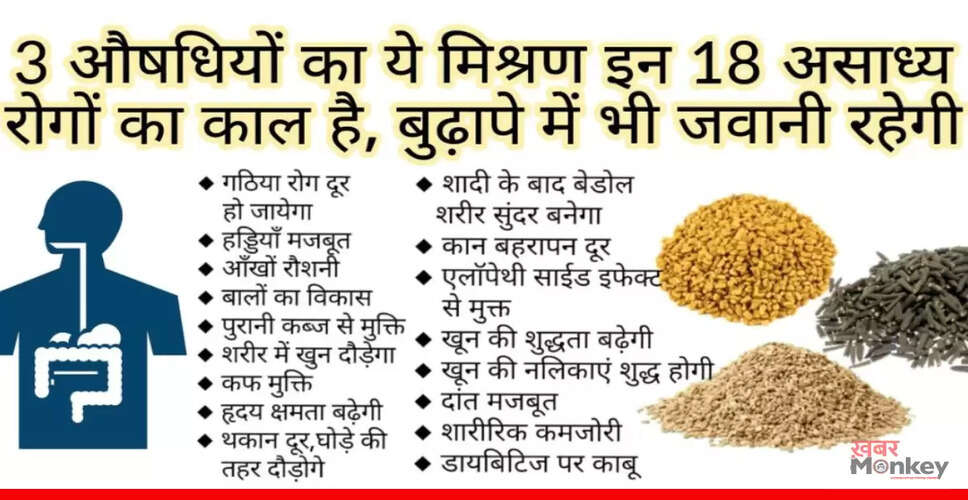 आयुर्वेदिक उपचार: 3 औषधियों का मिश्रण और उनके लाभ