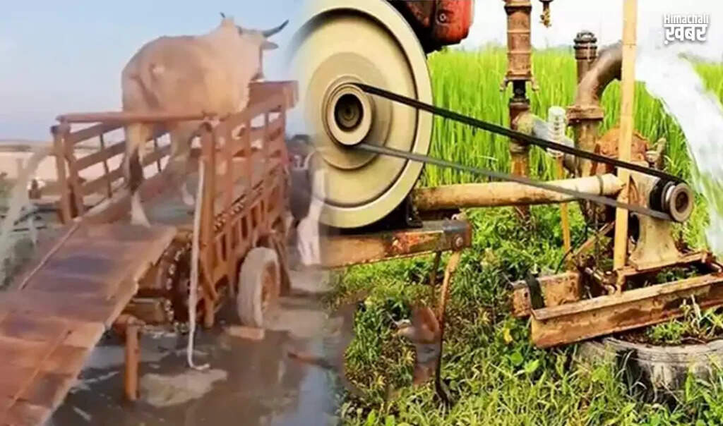 गांव की अनोखी मशीन: गाय से पानी निकालने का अनोखा तरीका