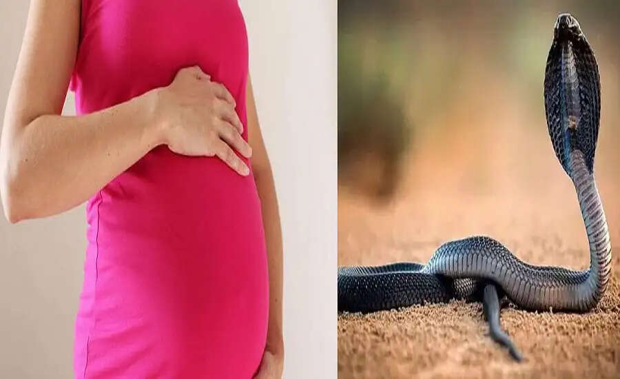 गर्भवती महिलाओं को सांप क्यों नहीं काटते? जानें इसके पीछे का रहस्य