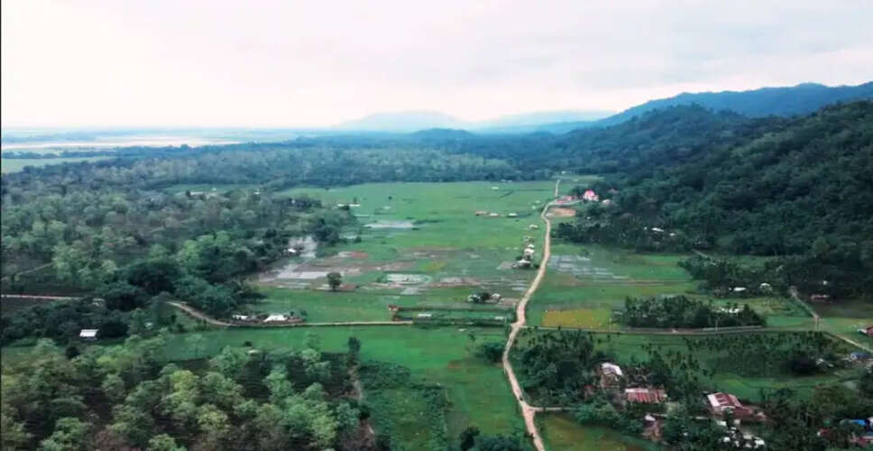 काजीरंगा के निकट भूमि आवंटन पर उच्च स्तरीय जांच की मांग