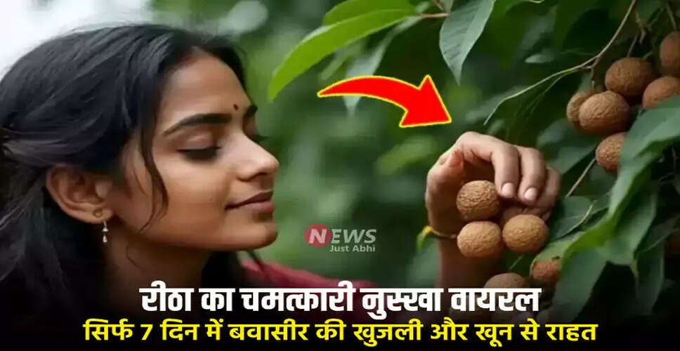 बवासीर के लिए रीठा का आयुर्वेदिक उपाय: जानें कैसे करें उपयोग