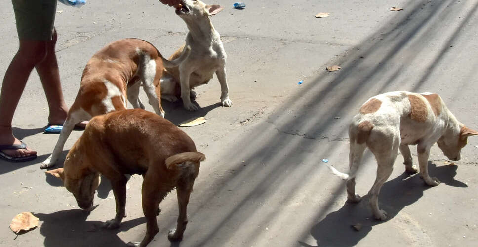 सुप्रीम कोर्ट का आदेश: आवारा कुत्तों और मवेशियों को हटाने के लिए सभी राज्यों को निर्देश