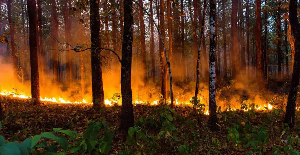 सैंटी, कैलिफोर्निया में आग से बढ़ी आपातकालीन प्रतिक्रिया