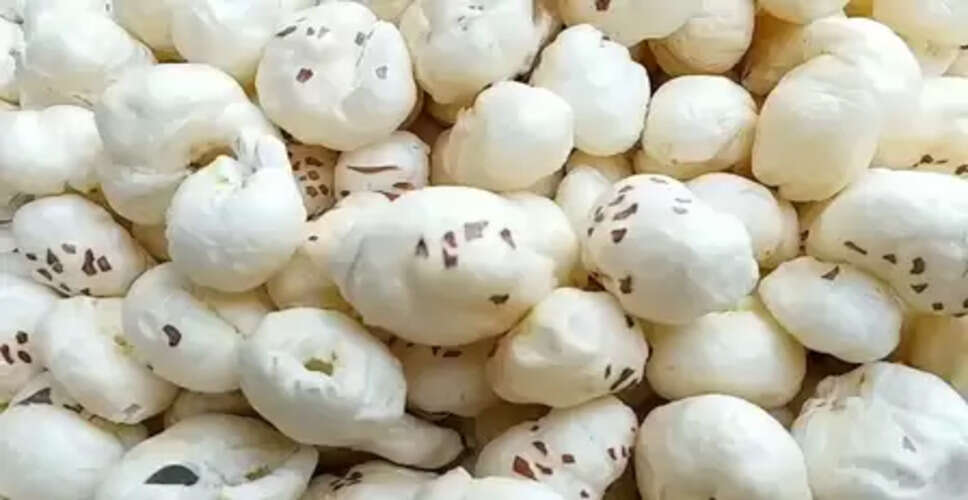 पौष्टिकता से भरपूर है मखाना, अंग्रेजी में क्यों कहते हैं फॉक्स नट्स?