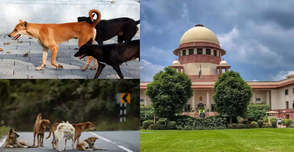 दिल्ली-एनसीआर में सभी आवारा कुत्तों को आश्रयों में स्थानांतरित करने का सुप्रीम कोर्ट का आदेश