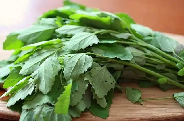 सर्दियों में कैंसर से लड़ने वाली 5 शक्तिशाली सब्जियां