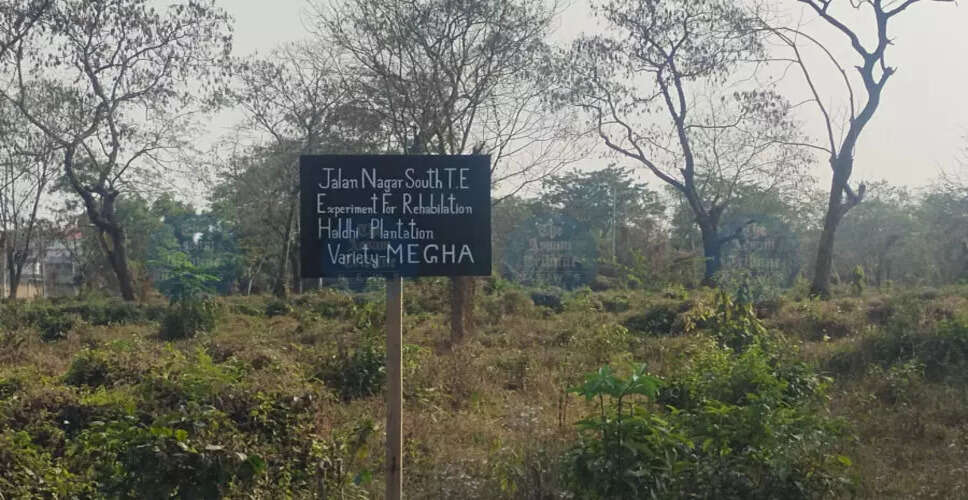 जालाननगर चाय बागान में स्वास्थ्य परियोजनाओं का विकास