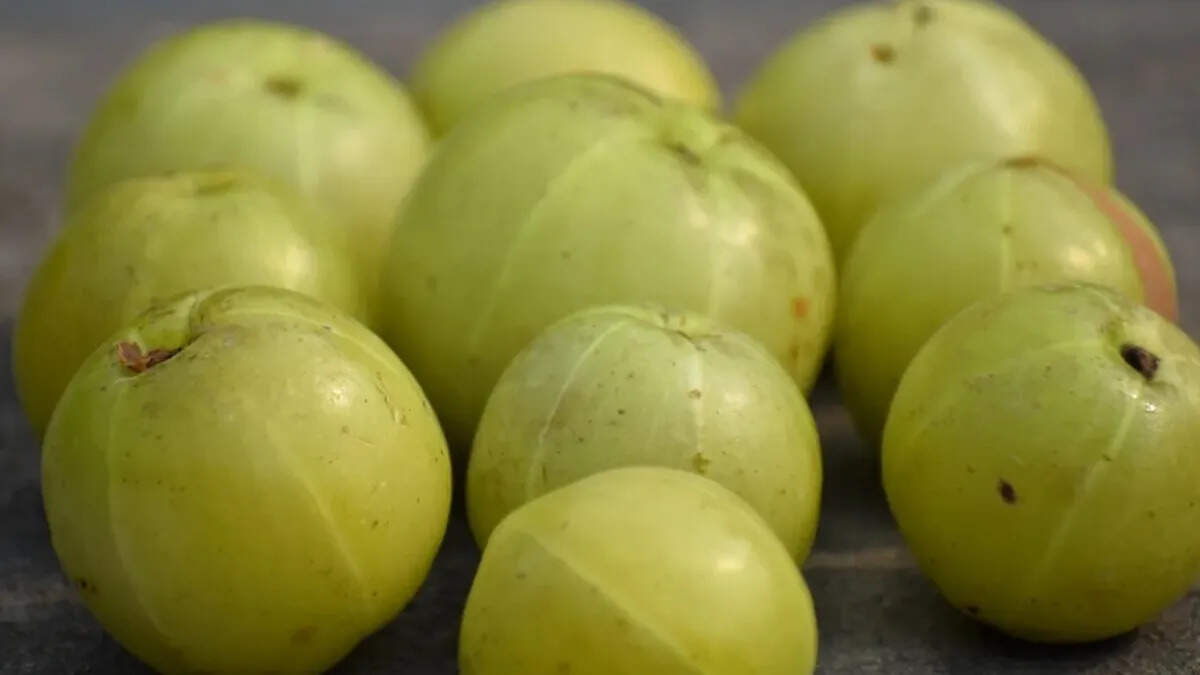 आंवला: सेहत के लिए एक वरदान