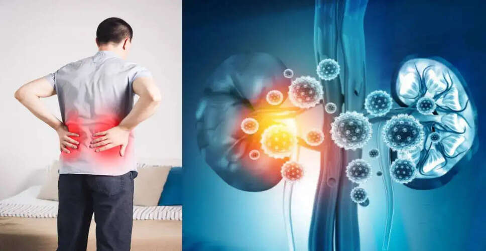युवाओं में किडनी रोग के बढ़ते मामले: जानें कारण और बचाव