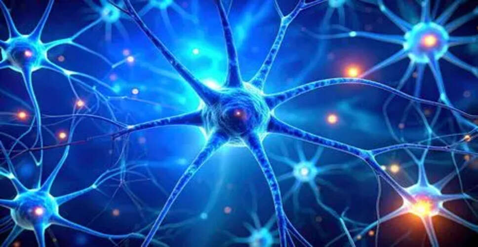 पार्किंसन रोग में मस्तिष्क कोशिकाओं की मृत्यु का कारण खोजा गया