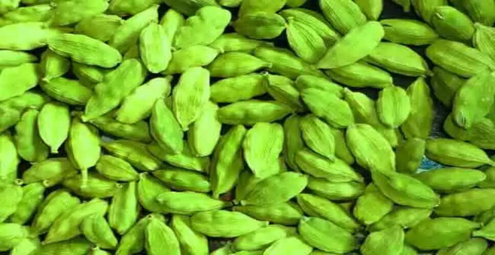 इलायची के अद्भुत स्वास्थ्य लाभ: जानें इसके फायदे