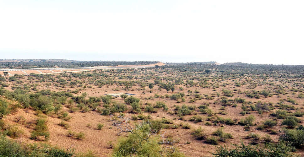 राजस्थान में अवैध तरीके से भारत आए पाकिस्तानी दंपति की मौत