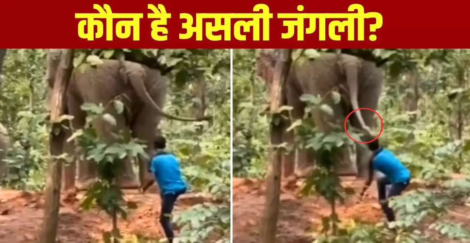 हाथी को परेशान करने वाला वीडियो वायरल, वन अधिकारियों पर उठे सवाल