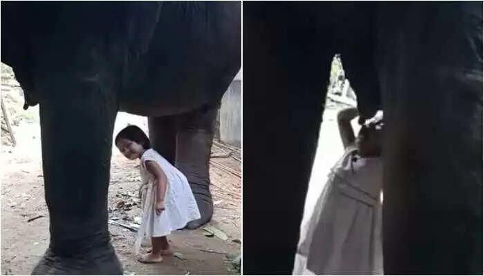 बच्ची का हथनी के दूध पीने का अनोखा वीडियो हुआ वायरल