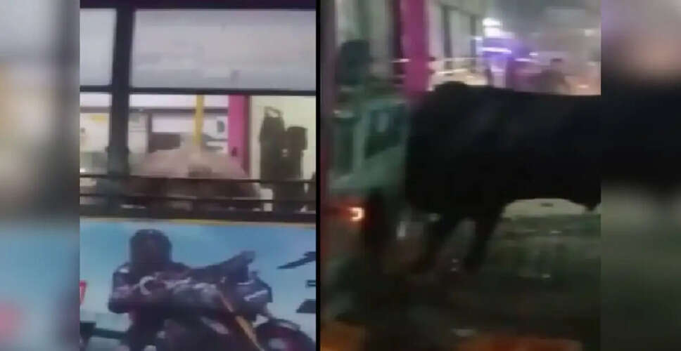 जयपुर में बस में घुसा सांड, मचाई अफरा-तफरी