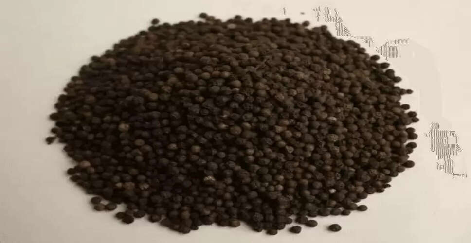 माइग्रेन से राहत के लिए काली मिर्च का उपयोग: जानें कैसे