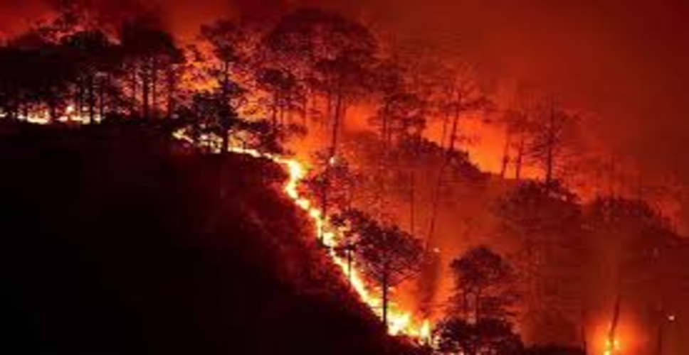उत्तराखंड के जंगलों में आग का तांडव : अगलगी की अब तक 1038 घटनाएं हुईं, 1385. 848 हैक्टेयर वन क्षेत्र प्रभावित