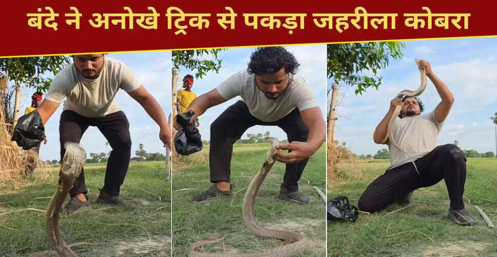 सांप पकड़ने की अद्भुत तकनीक: वायरल वीडियो ने किया सबको हैरान
