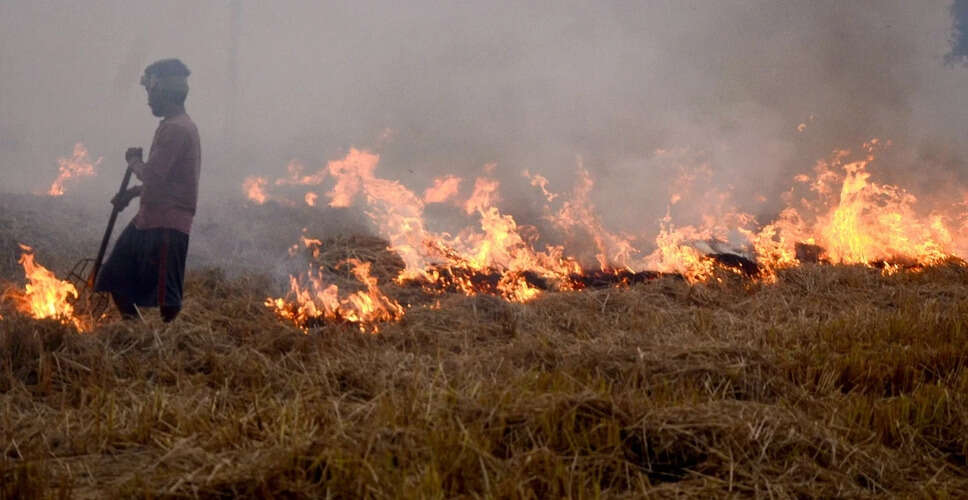 सुप्रीम कोर्ट ने प्रदूषण नियंत्रण के लिए राज्यों को दिए सख्त निर्देश