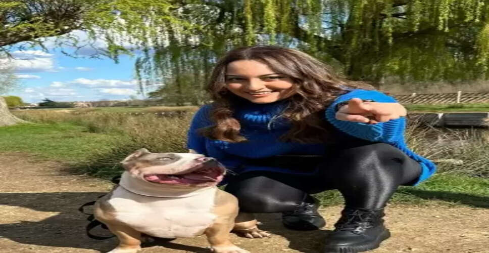 अंतरराष्ट्रीय बेघर पशु दिवस : बेजुबानों की आवाज हैं ये सितारे, लिस्ट में 'दबंग' गर्ल भी शामिल