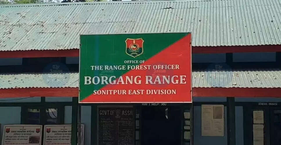 असम के जंगल में अवैध कटाई के दौरान गोलीबारी की घटना