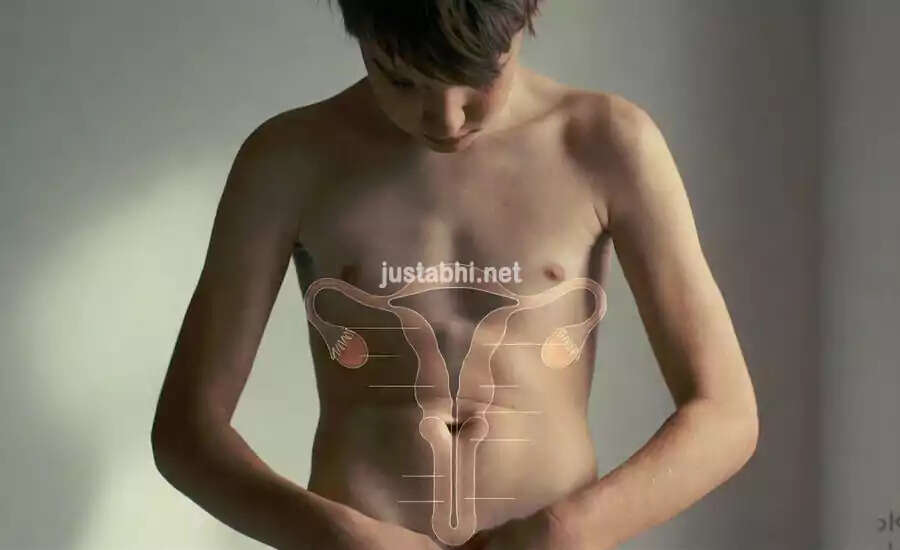 पुरुषों के लिंग विकास की प्रक्रिया: जानें कब और कैसे होता है