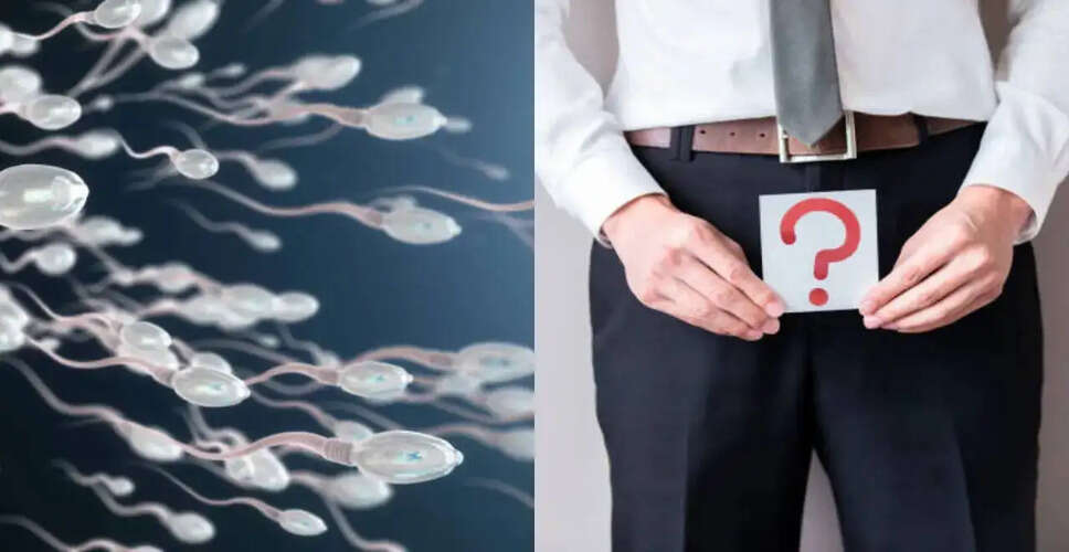 पुरुष प्रजनन क्षमता में सुधार के लिए नियमित स्खलन का महत्व
