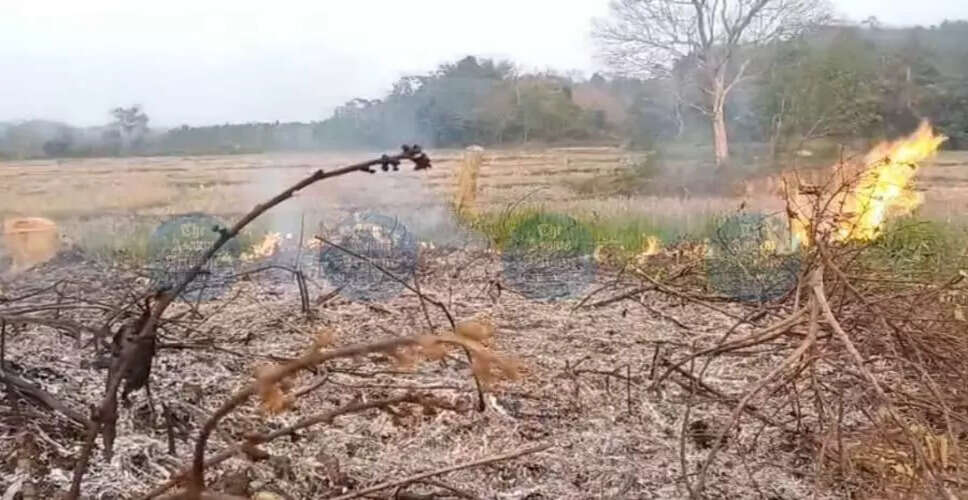 असम के जंगलों में अतिक्रमण की गंभीर समस्या