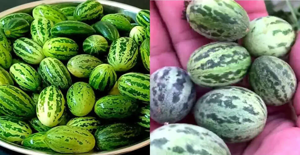 कचरी की सब्जी के स्वास्थ्य लाभ: जानें इसके फायदे