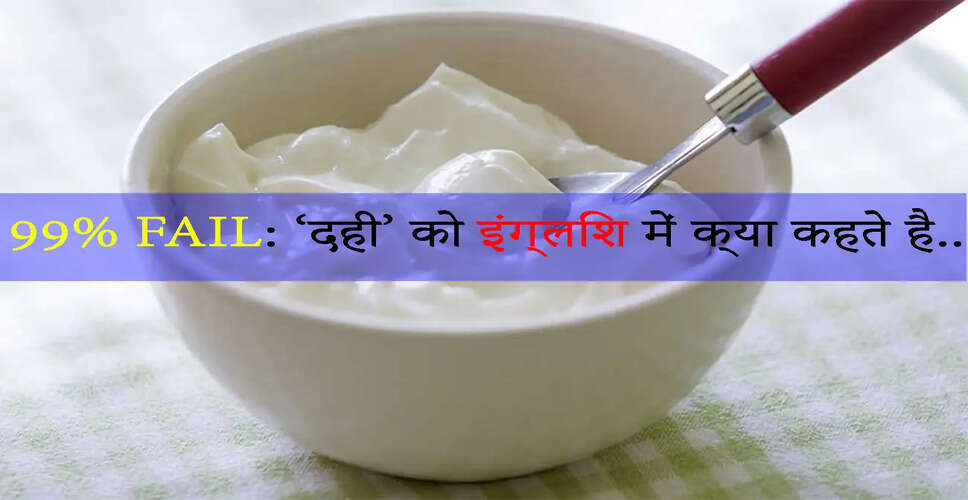 दही का इंग्लिश में क्या होता है नाम? जानें यहाँ