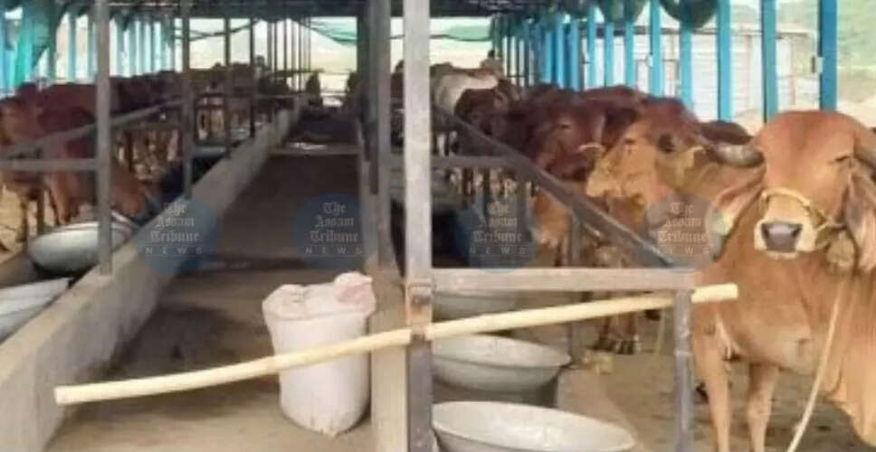 गोरुखुति कृषि परियोजना में अनियमितताओं की मांग की गई जांच