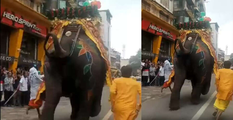 अहमदाबाद के रथ महोत्सव में हाथी का अचानक दौड़ना, मची अफरा-तफरी