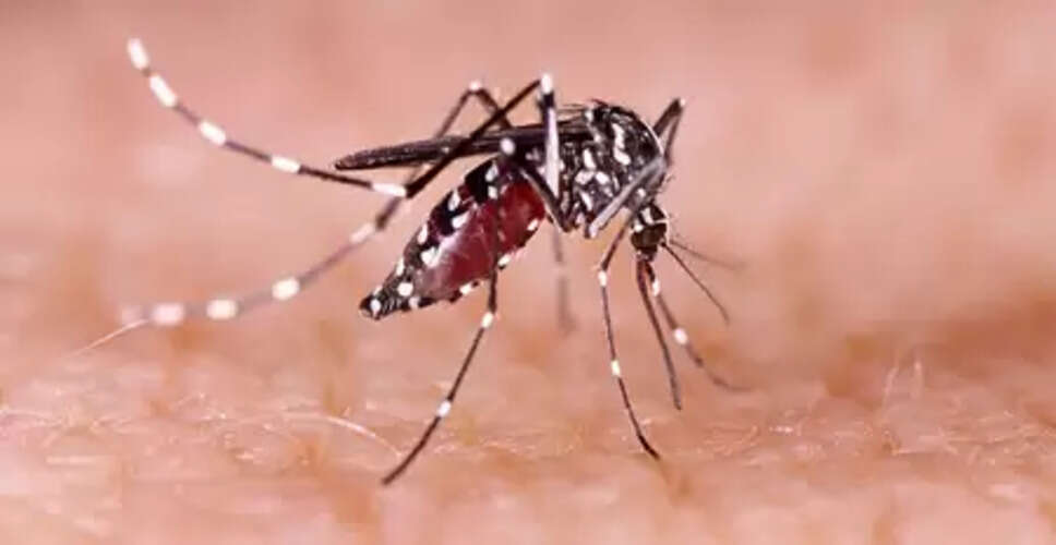 नोएडा : बारिश के बाद डेंगू का कहर, जिले में अब तक 27 मरीज मिले पॉजिटिव