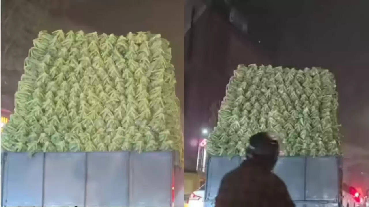 दिल्ली में गोभियों का अनोखा नजारा, वायरल वीडियो ने किया सबको हैरान