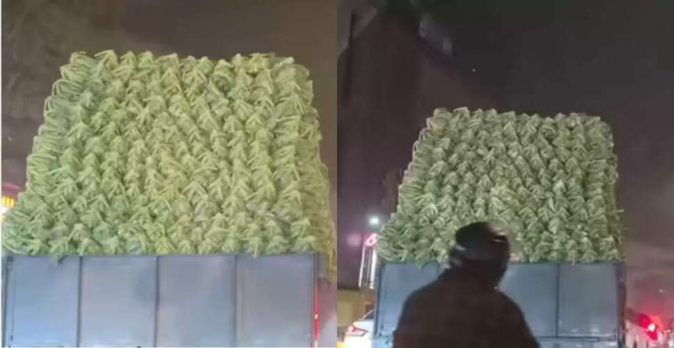 दिल्ली में गोभियों का अनोखा नजारा, वायरल वीडियो ने किया सबको हैरान