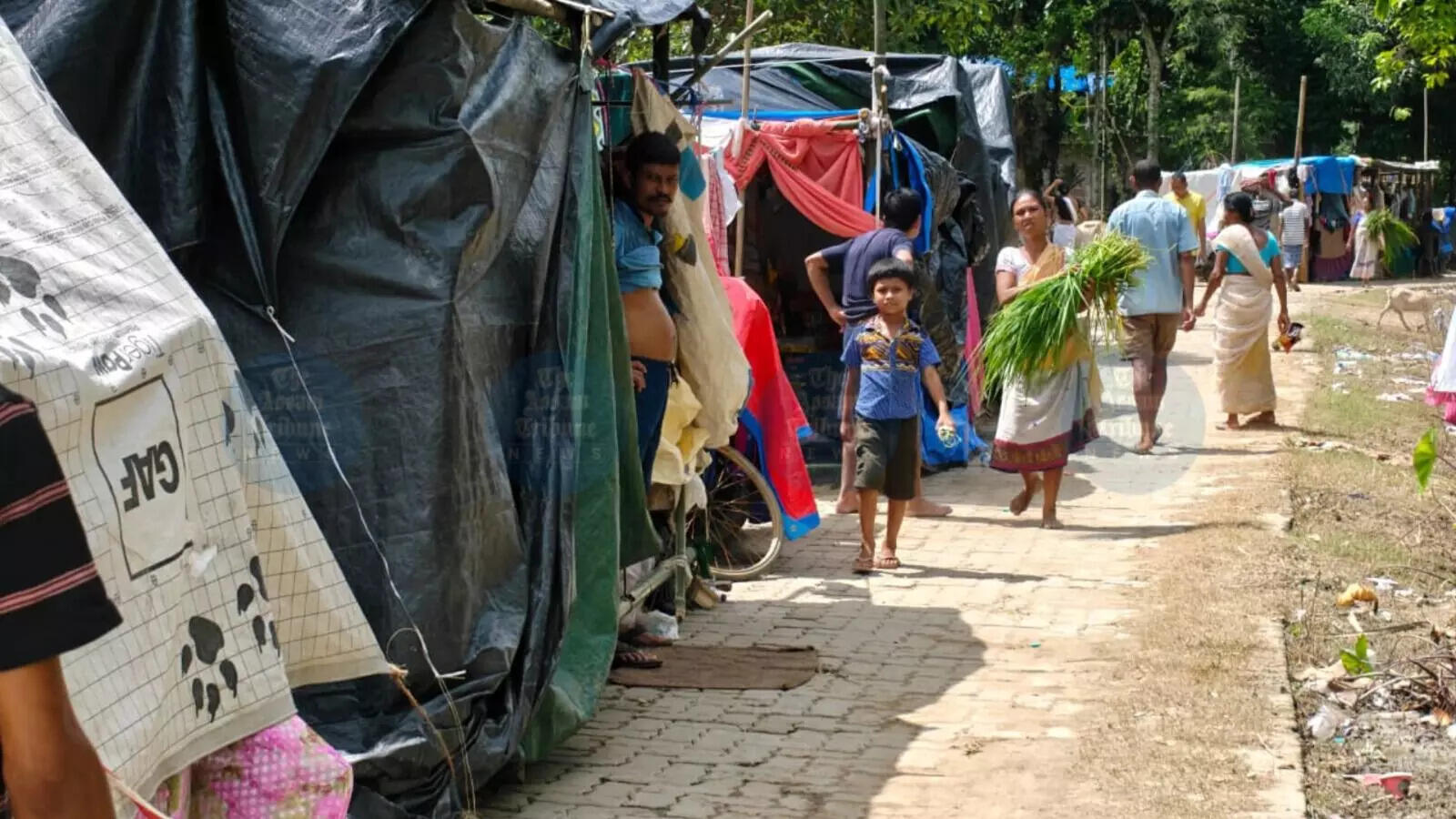 सिवासागर में बाढ़ से तबाही: परिवारों की जिंदगी में आई कठिनाई