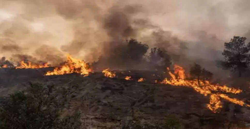 कनाडा में जंगल की आग ने लिया विकराल रूप