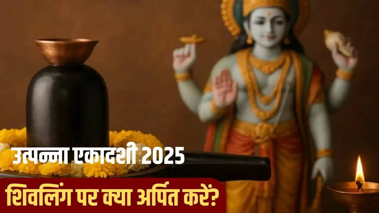 उत्पन्ना एकादशी 2025: शिवलिंग पर अर्पित करें ये विशेष चीजें